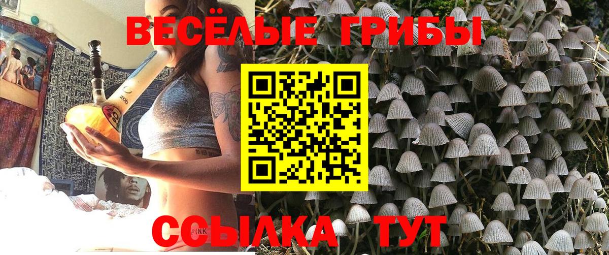 Псилоцибиновые грибы прущие грибы Волгоград